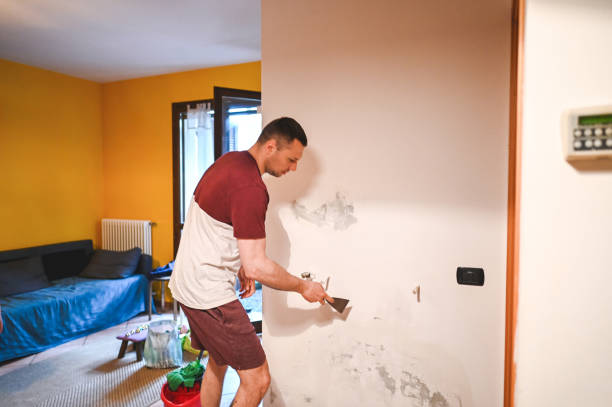 Best Localized Mold Remediation (e.g., coastal areas, humid climates) in Socorro, NM